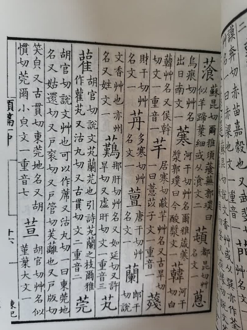 1786163334390787.jpg