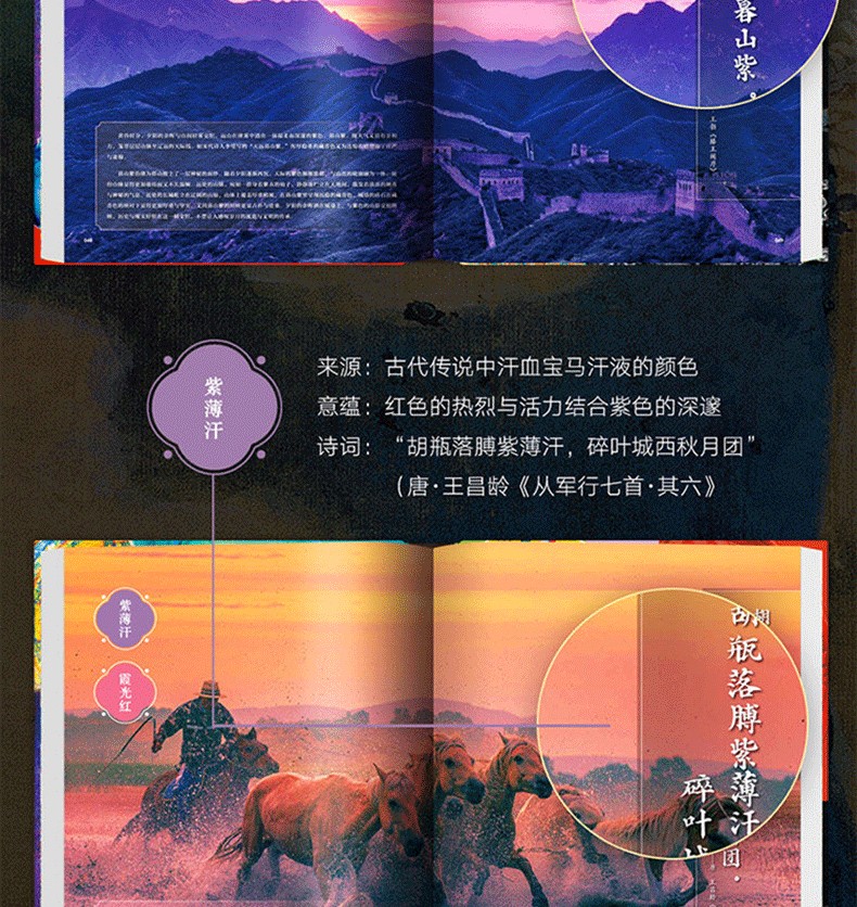1787296154719415.jpg